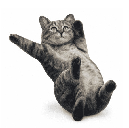 Cross-Border New Model of the Slipping Cat, New Meme Plush Toy Doll Cross-Border New Model of the Slipping Cat, New Meme Plush Toy Doll