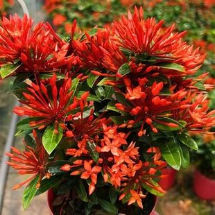 ���������҃����_���ļ�ͥԺ���������̨С�Ϙ��~�������tɫ����