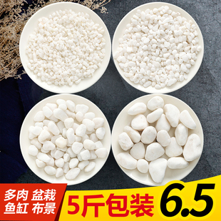 ♡ Pebbles, Natural Rain Flower Stones, Small White Stones, Succulent Paving Stones, Potted Flower Pots, Flower Growing Hydroponic White Stones