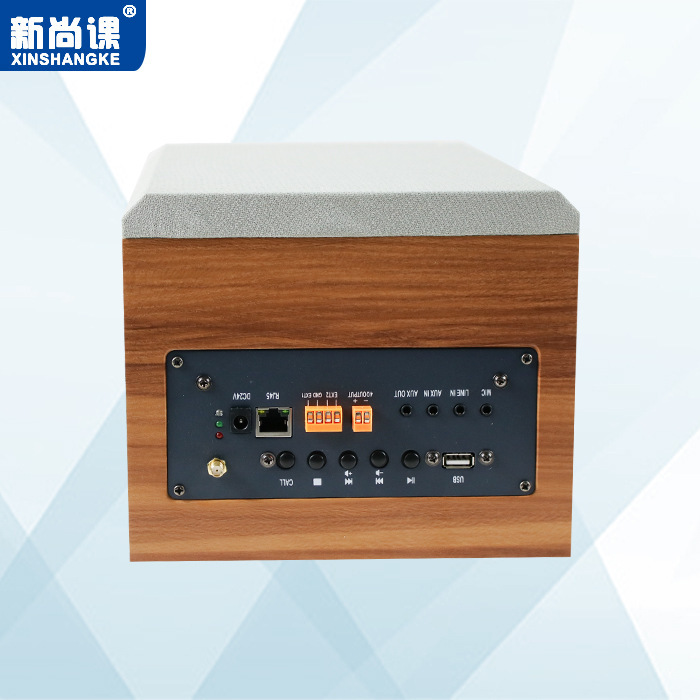 Altavoces de red IP 2.4G altavoces activos inalámbricos de clase 4G altavoces de monitoreo de respaldo de transmisión de voltaje constante en la nube