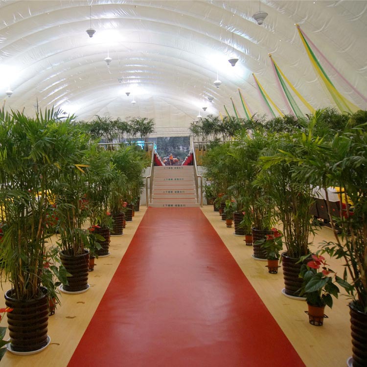 ����������������� ��Ĥ����������Ĥ�ṹ�������Ӿ���������