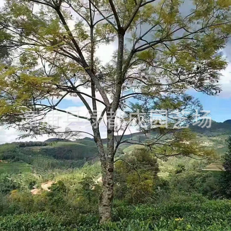 发布供应商品 - 1688.com 全球领先的采购批发平台