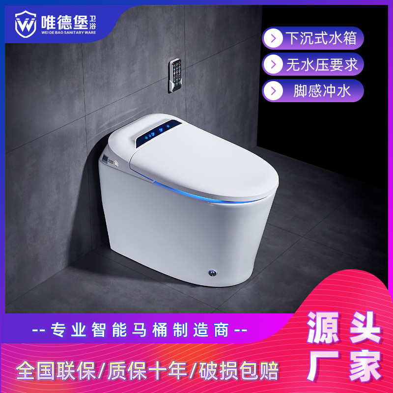 Goldberg wholesale That is hot household intelligence closestool Induction Integrated Electric water tank pedestal pan