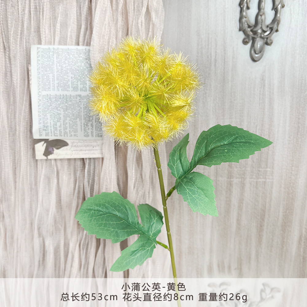 HZY-小蒲公英-黄色