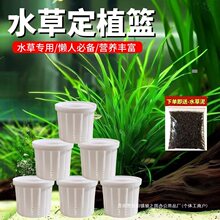 ���������]���~��ˮ�ݶ�ֲ�@���wˮ��̶�����ˮ�����쾰