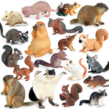 儿童仿真动物模型玩具老鼠飞鼠土拨鼠松鼠裸鼹鼠金花鼠黄鼠狼仓鼠