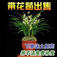 ���m���F�m���ļ��m�_���M���h�����B�҃Ȼ������Lˮ��С�Ҽt����