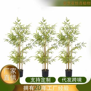���漚ˮ��ë���������ӾGֲ��������ʽ�҃��쾰�b�����辰���l