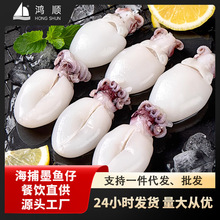墨鱼仔新鲜冷冻商用鲜冻小鱿鱼捞汁小海鲜小乌贼干冰批发迷你