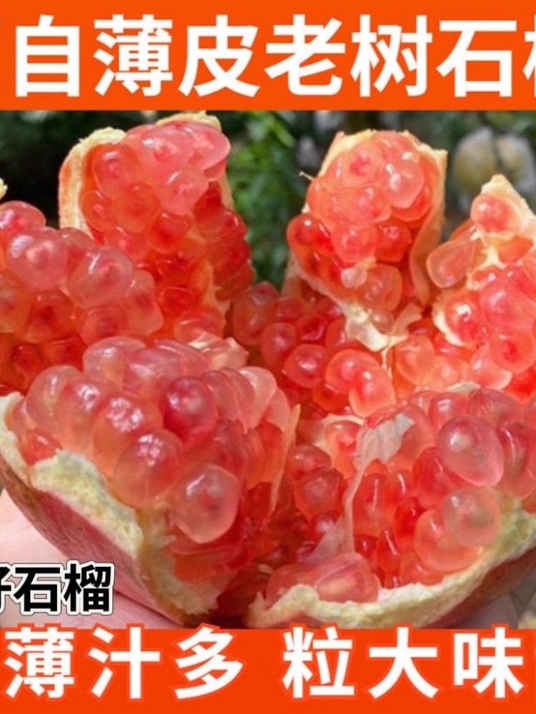 云南红河蒙自石榴9斤当季新鲜水果老树硬籽甜石榴原产地现摘先发