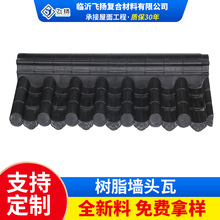 �¹��ߘ�֬�� �p�栝�^�߷¹Ř�֬��Ƭ�R�^������� һ�w��Ժ��ñ