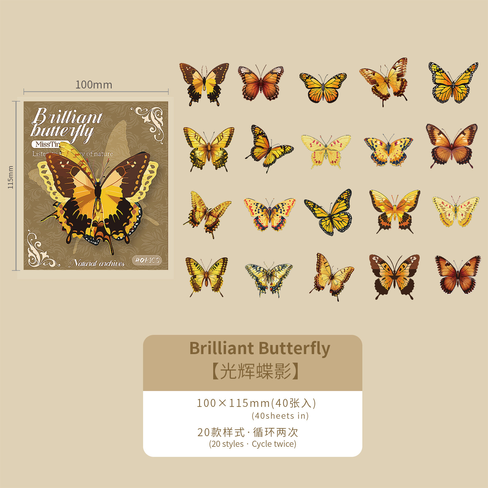 Diez mariposas brillantes tema de la caja de fotos, archivo natural serie de hongos creativos caja de fotos de fotos de fotos de fotos