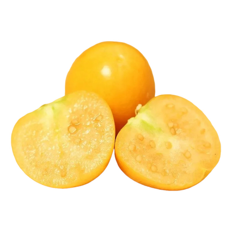 茯苓中药饮片