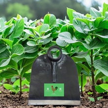 ���S���l�r���z�^���ڷ����Ј��r�ù����_�ĳ����i��z�^