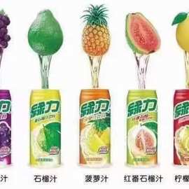 480ML夏日进口绿力水蜜桃葡萄菠萝芒果汁冬瓜茶红番石榴汁菊花茶