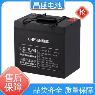 昌盛 6-GFMJ-55 eps应急电源 胶体蓄电池 风能发电系统 低价 耐用