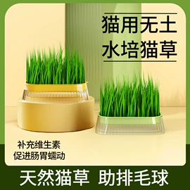 猫猫食具;宠物梳子;猫猫零食