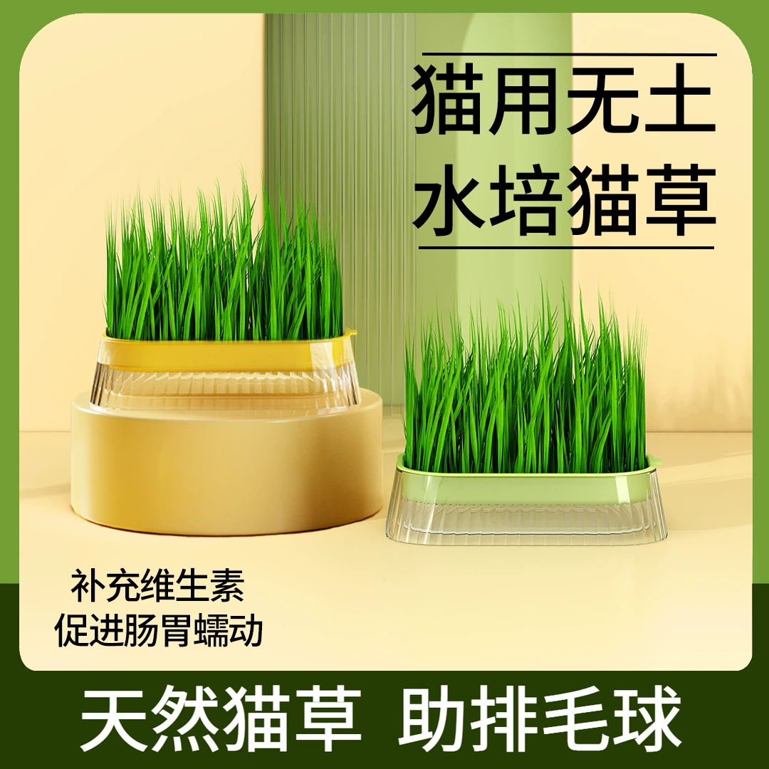 Гидропонная коробка, горшок для проращивания бобовых, гидропонная коробка, беспочвенное выращивание, лоток для рассады, овощной горшок для рассады гороха, гидропонная посадочная коробка