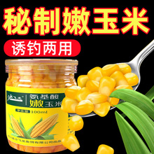 钓鱼甜嫩玉米巨物钓饵草鱼鲤鱼青鱼翘嘴野钓黑坑窝料鲜嫩玉米粒