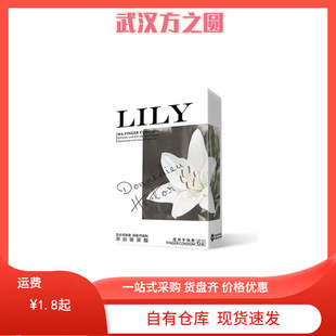 ������LILY ������z����ָ�׾Gɫ6ֻ ������ǰ�򓸓������l���l