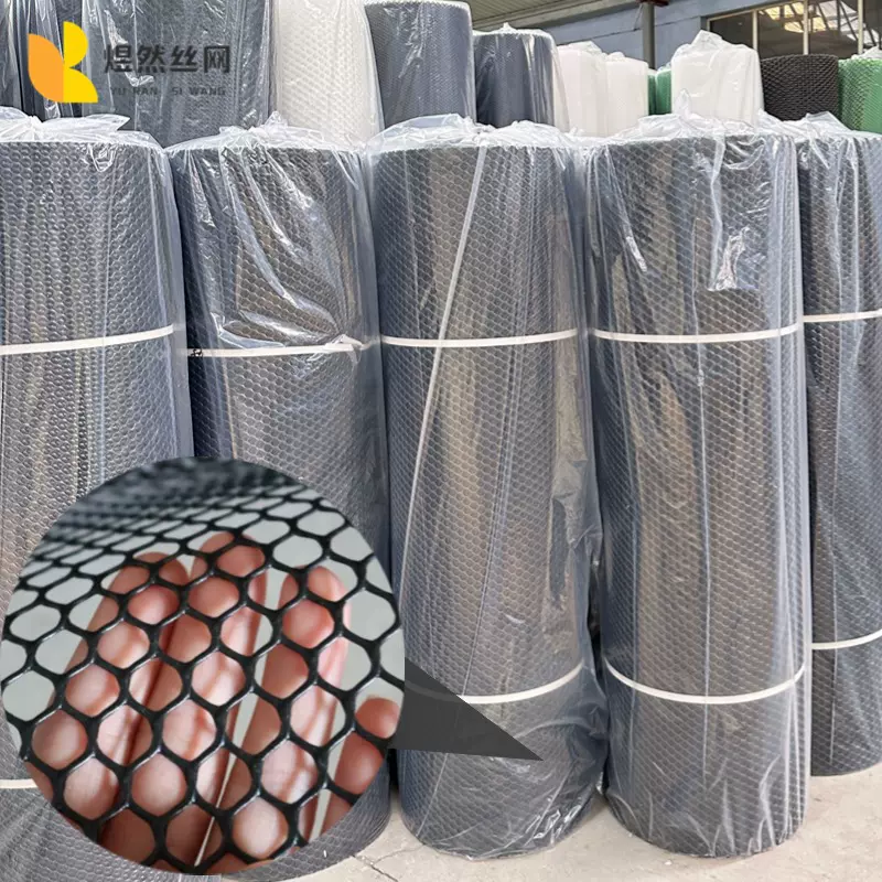 黑色塑料平网阳台防护封窗网育雏养鸡鸭隔离围栏网封窗户防坠猫网