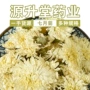 太阳花黄山安徽源头七月菊