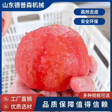 果蔬番茄莲藕物理爆皮机多功能桃子芋头脱皮机猕猴桃蒸汽去皮机