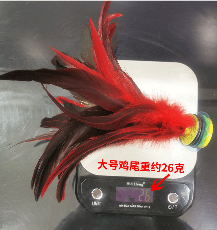 大中小公鸡毛-恢复的-恢复的_09