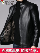啄木鸟真皮软夹克男秋冬天鹅绒加厚皮夹克男中老年爸爸皮夹克
