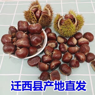 �w�����������r���Ӵ�ӱ���ɽ���rҰ������ë���Ä�Ƥ�Y����