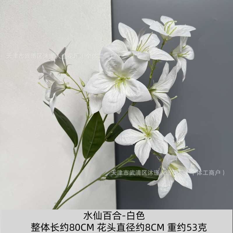 수선화 백합