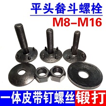 �����C�ζ��ݽz�϶�һ�wƤ�����˨ 呴���^ݔ�͎��M8M10M12M16