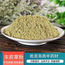 车前草粉中药材批发现磨粉质细腻干净无杂质车前草细粉量大价格优