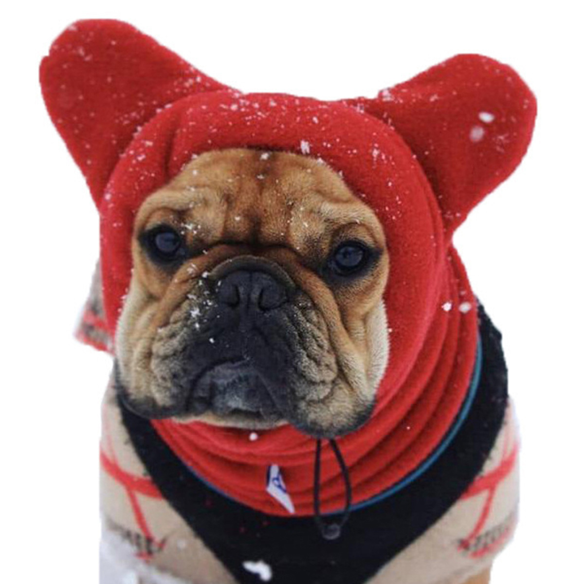 Nuevo perro transfronterizo casual cálido gorro de color sólido mascota lindo gorro suministros para mascotas gorro polar gorro