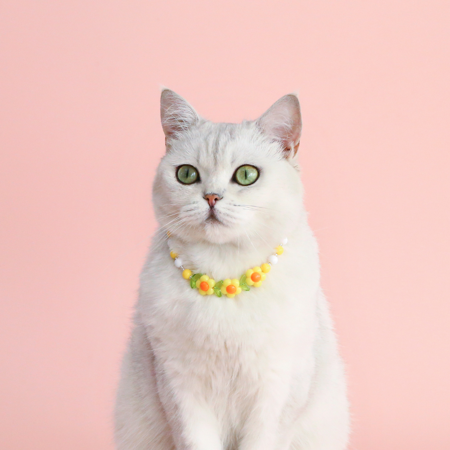 INS coreano color perla collar de mascotas flores arco iris melocotón amor ajustable alemán gato perro collar de cumpleaños