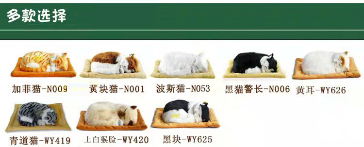 5635c7f09853ad510a7c09ccb1c497