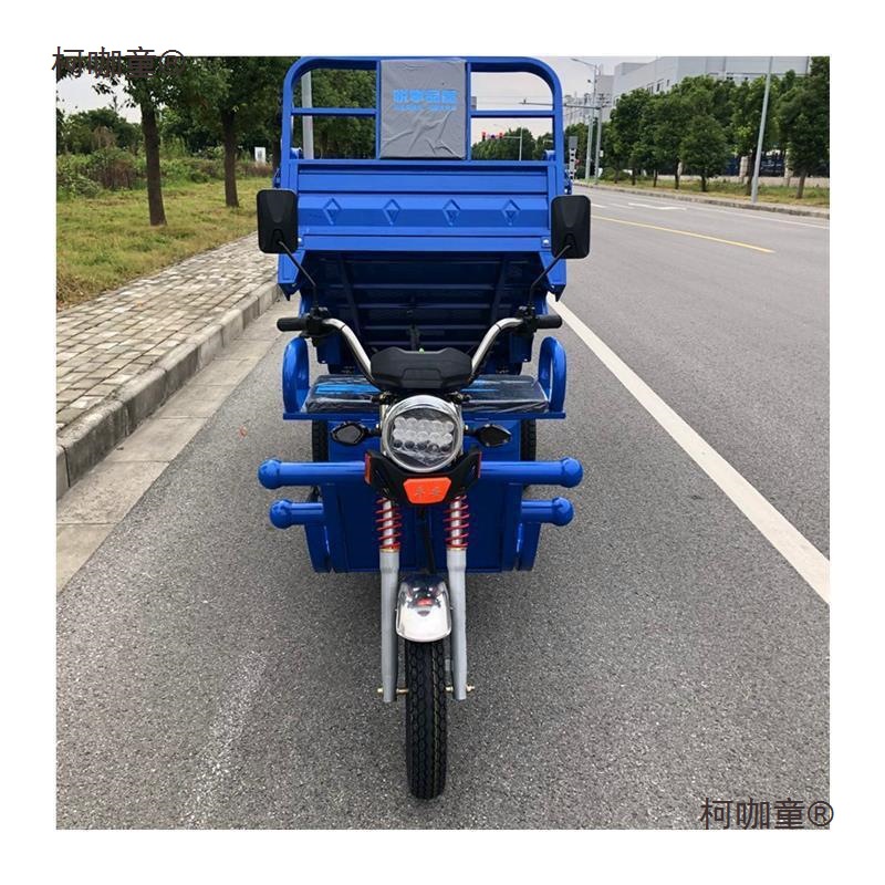 Electric Tricycle Express Climbing Freight Transport Substitute Pick-up Agricultural Adult New Car Mountain Area Factory
