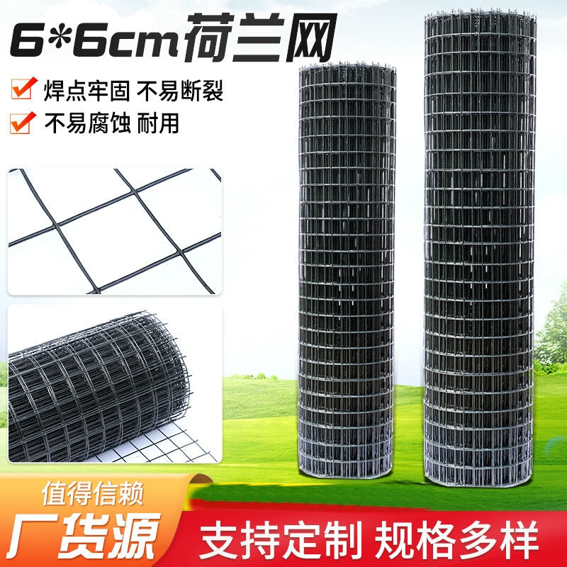现货批发荷兰6*6cm网孔养殖网菜园果园护栏浸塑围栏养鸡隔离