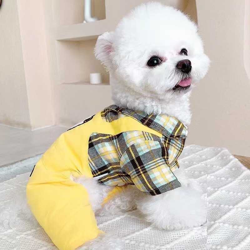 네 발이 있는 노란 양