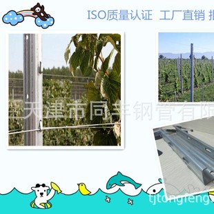 �J���Ҍ��øߏ��� ��\䓎�֧�� ���� ��� ˮ����������Ʒ����