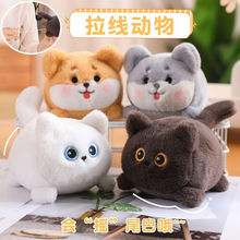 ���uβ�͵�С�����пɐ۲�Ȯ��ż����С����l�lë�q��߶Y�����l