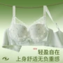 透气聚拢蕾丝超薄胸罩