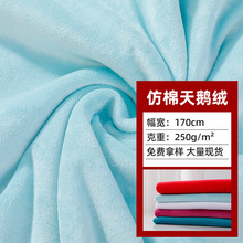 供应全涤纬编染色仿棉天鹅绒针织面料 家居服睡衣用布针织面料