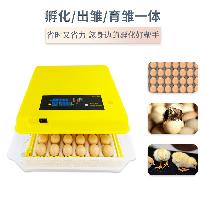 Comercio exterior 42 rodillo incubadora doméstica automática pollo pato codorniz equipo de cría con un solo clic huevo eclosión caja