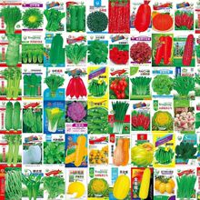 ���l�߲˷N���̨��������S���������t����ݮ�²����ԷN��