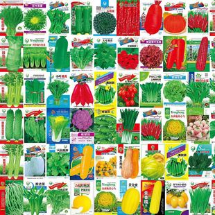 ���l�߲˷N���̨��������S���������t����ݮ�²����ԷN��