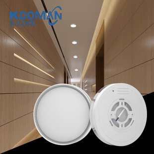 Factory export fire emergency panel light commercial channel integrated surface installation power outage emergency lighting