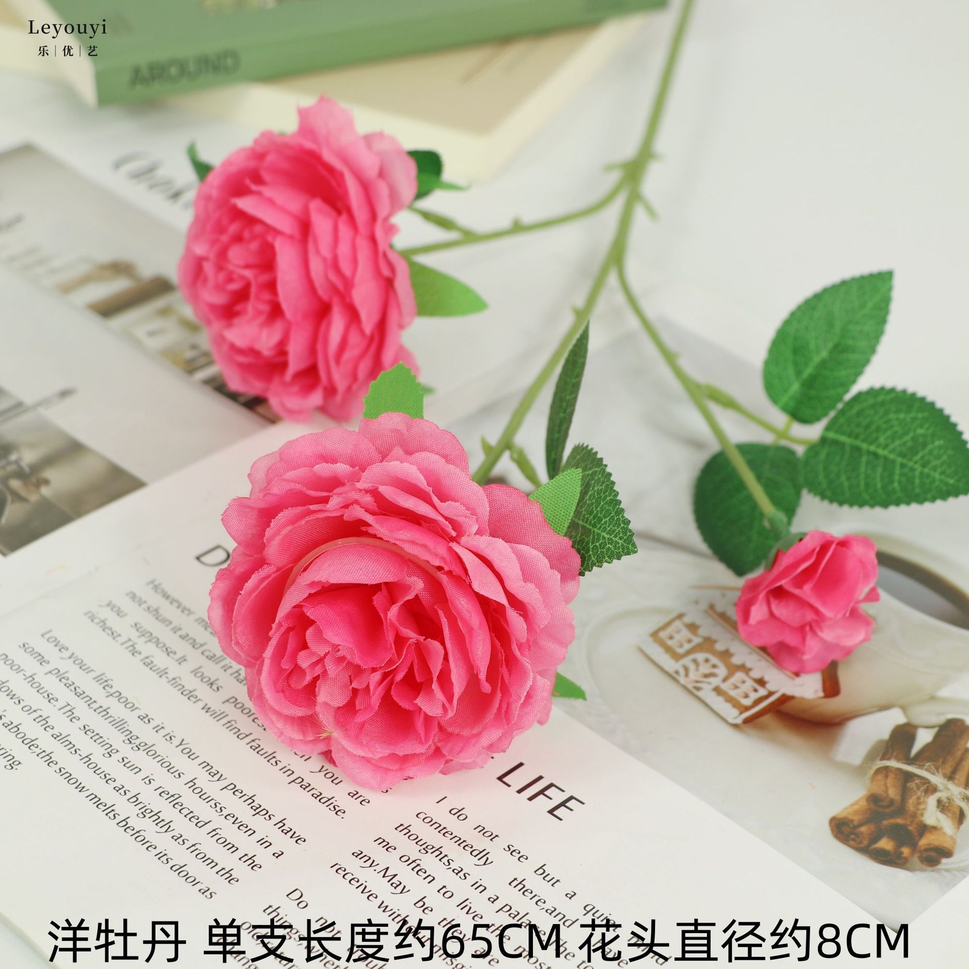 로즈 레드