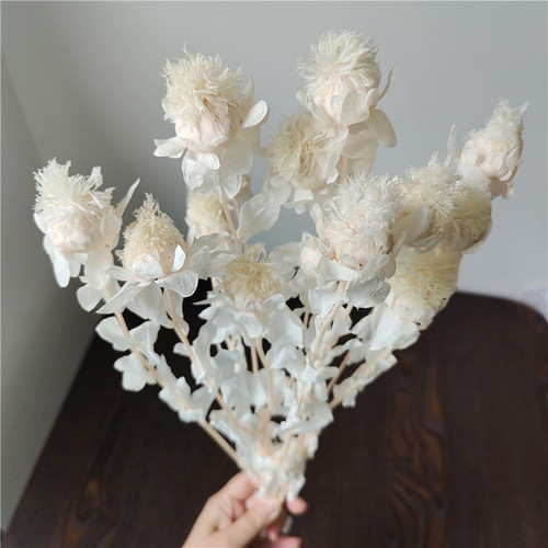 Eternal life orange pineapple floral materials DIY home decoration floral arrangement window display B&B real dried flowers art decoration