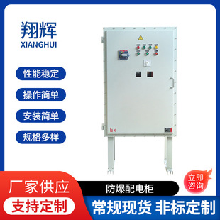 Switching Power Supply Explosion-Proof Distribution Box Outdoor Stainless Steel Explosion-Proof Distribution Cabinet Vertical Explosion-Proof Lighting Power Control Cabinet